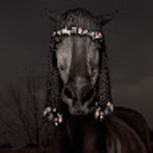 Meet your Posher, Danny